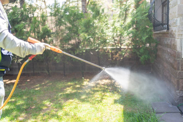 Best Mosquito Control Services  in West Lawn, PA